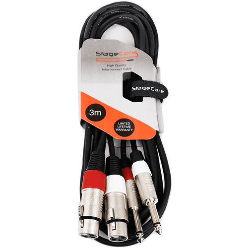 2 x XLR Female to 2 x 6.35mm Mono Jack Audio Lead 3m