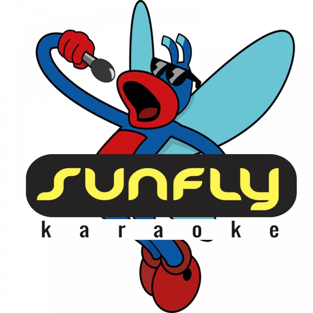 Karaoke CDG Most Wanted 858 Issue CD+G Disc