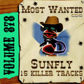 Karaoke CDG Most Wanted 878 Issue CD+G Disc