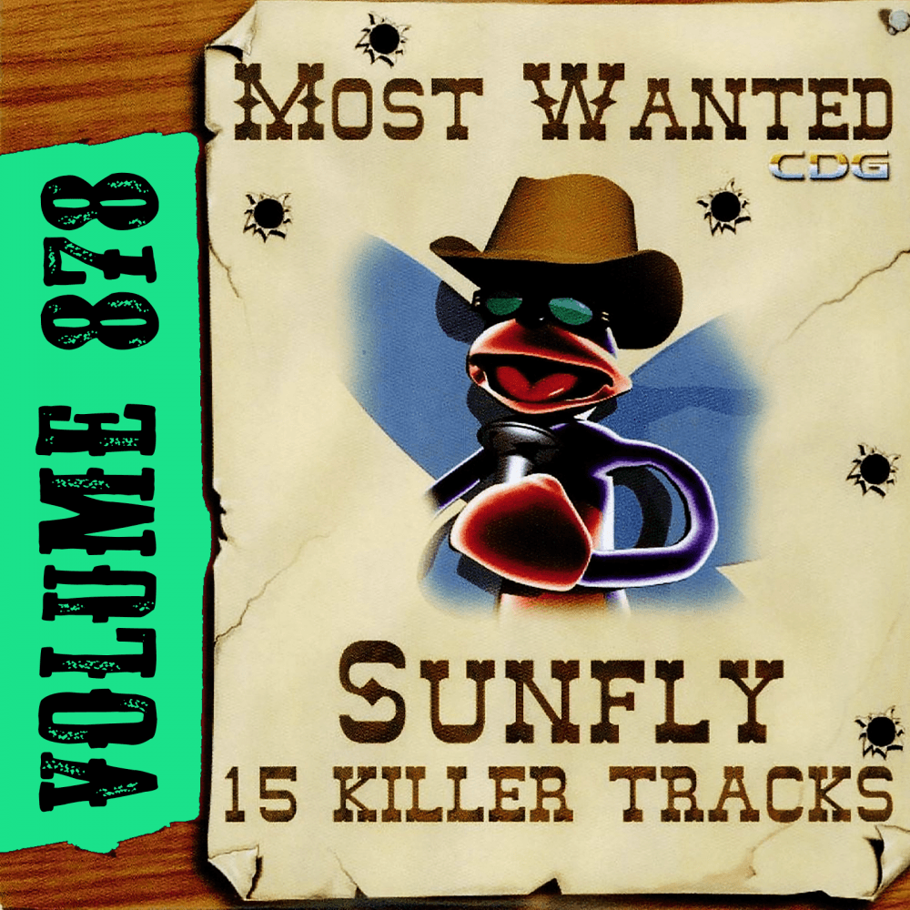 Karaoke CDG Most Wanted 878 Issue CD+G Disc