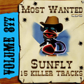 Karaoke CDG Most Wanted 877 Issue CD+G Disc