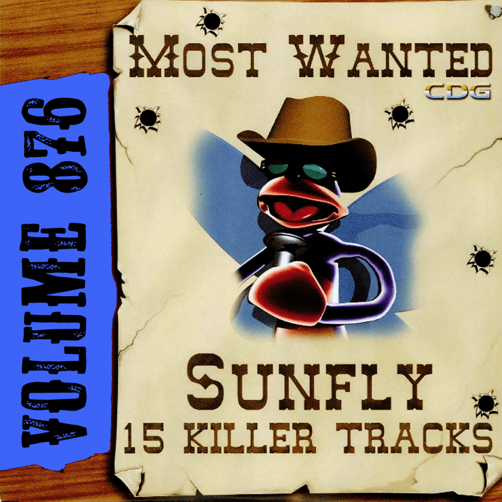 Karaoke CDG Most Wanted 876 Issue CD+G Disc