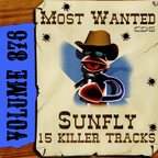 Karaoke CDG Most Wanted 876 Issue CD+G Disc