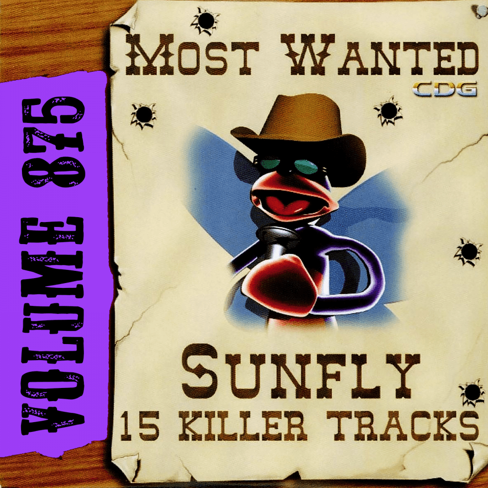 Karaoke CDG Most Wanted 875 Issue CD+G Disc