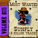 Karaoke CDG Most Wanted 875 Issue CD+G Disc