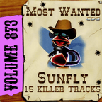 Karaoke CDG Most Wanted 873 Issue CD+G Disc