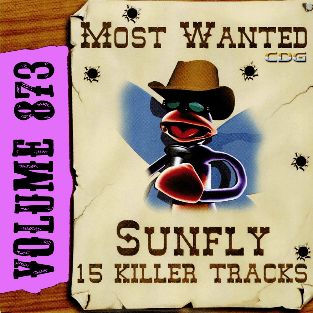 Karaoke CDG Most Wanted 873 Issue CD+G Disc
