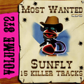 Karaoke CDG Most Wanted 872 Issue CD+G Disc
