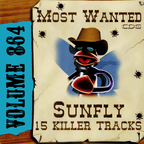 Karaoke CDG Most Wanted 864 Issue CD+G Disc