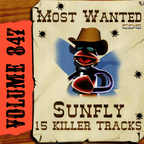 Karaoke CDG Most Wanted 847 Issue CD+G Disc