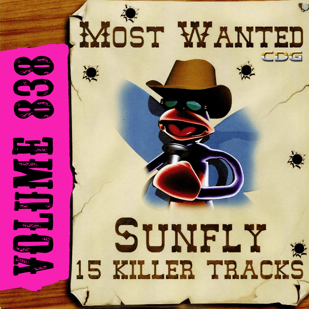 Karaoke CDG Most Wanted 838 Issue CD+G Disc