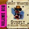 Karaoke CDG Most Wanted 838 Issue CD+G Disc