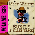 Karaoke CDG Most Wanted 838 Issue CD+G Disc