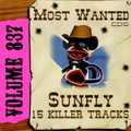 Karaoke CDG Most Wanted 837 Issue CD+G Disc