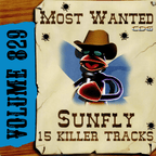 Karaoke CDG Most Wanted 829 Issue CD+G Disc