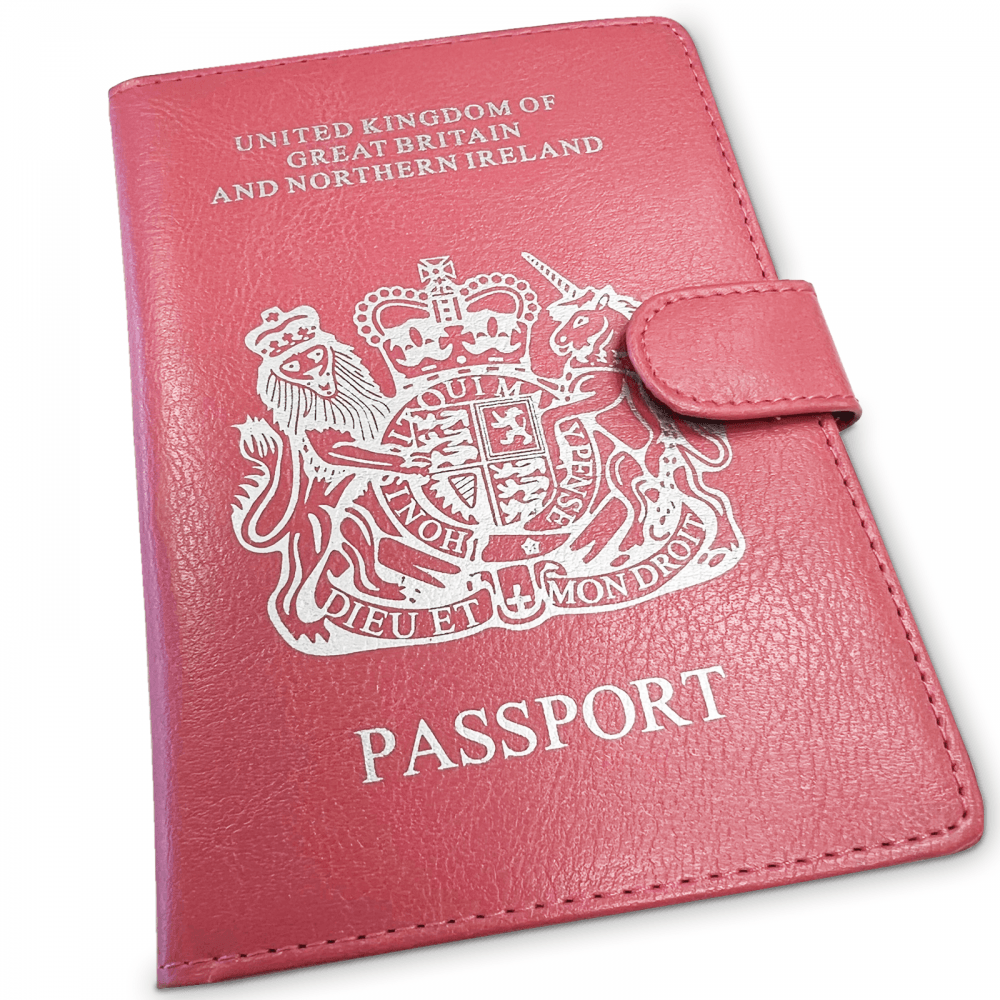 Pink Passport Holder and Wallet for Cash and Cards