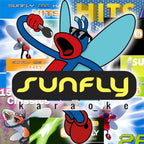Sunfly Karaoke 10 CD+G Disc Pack 145+ Tracks