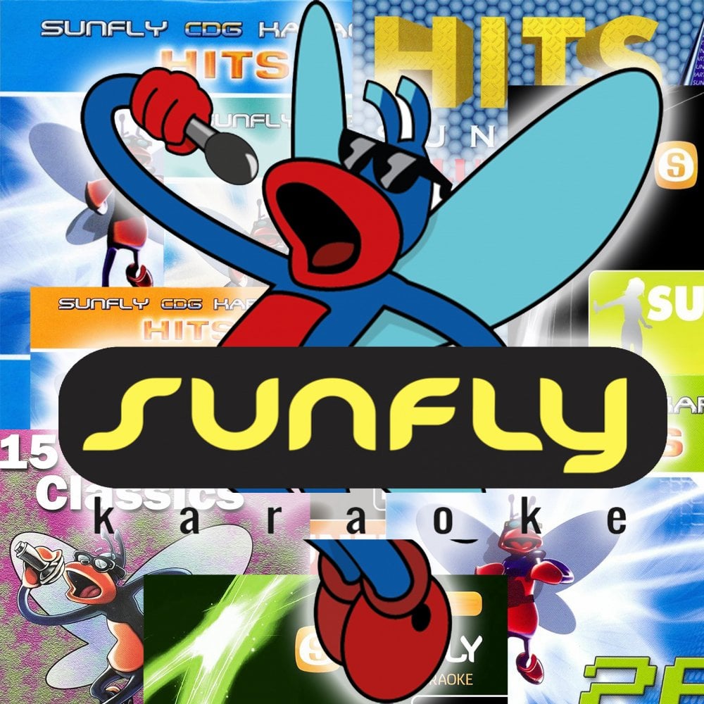 Sunfly Karaoke 10 CD+G Disc Pack 145+ Tracks