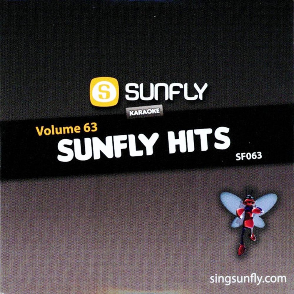 BIG Karaoke Hits of Sunfly Triple CD+G Decades 11