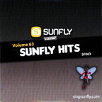 BIG Karaoke Hits of Sunfly Triple CD+G Decades 11