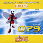 Karaoke CDG CD - HITS Volume 79 and 101 CD+G Disc 70s Double
