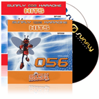 Karaoke CDG CD - HITS Volume 56 and 105 CD+G Disc 80s Double