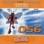 Karaoke CDG CD - HITS Volume 56 and 105 CD+G Disc 80s Double