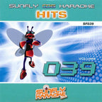 Karaoke CDG CD - HITS Volume 39 and 53 CD+G Discs