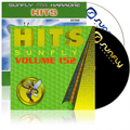 Karaoke CDG CD - HITS Volume 152 and 280 CD+G Disc Double