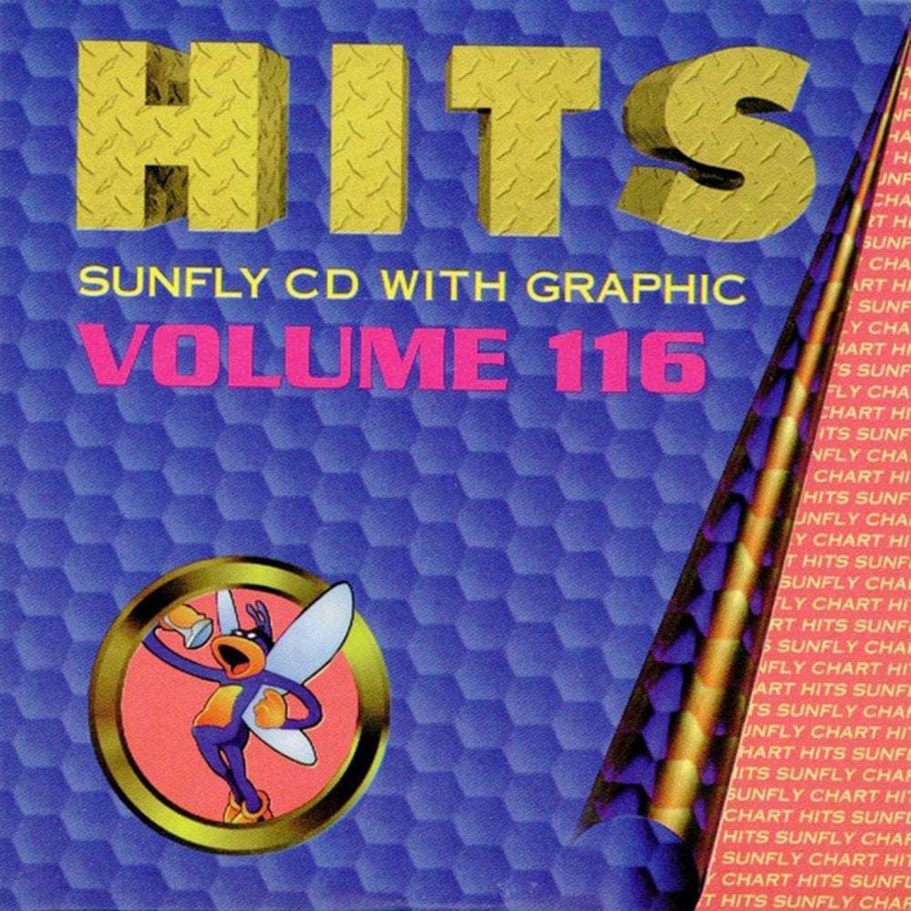 Karaoke CDG CD - HITS Volume 116 and 133 CD+G Disc Double