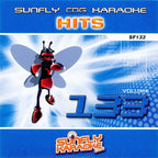 Karaoke CDG CD - HITS Volume 116 and 133 CD+G Disc Double