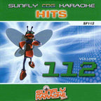 Karaoke CDG CD - HITS Volume 112 and 142 CD+G Disc Double