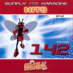 Karaoke CDG CD - HITS Volume 112 and 142 CD+G Disc Double