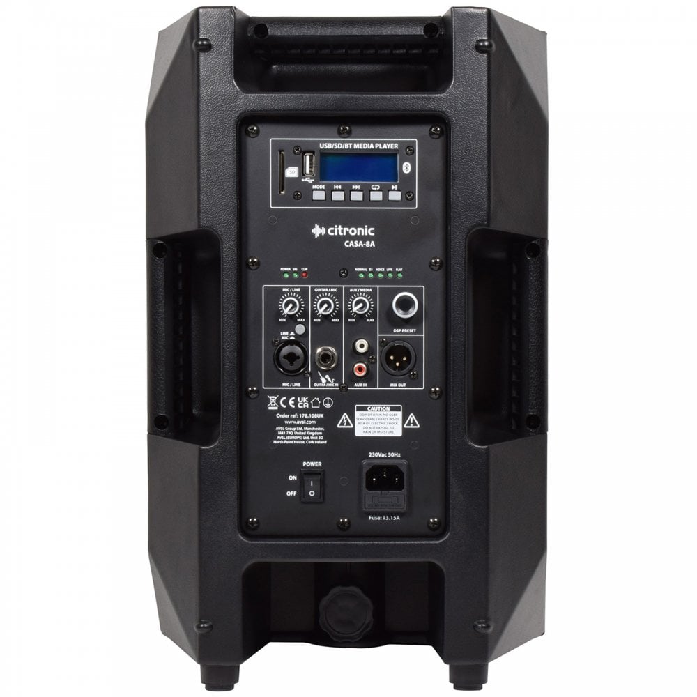 CASA Active 8" PA Cabinet with DSP USB SD and Bluetooth