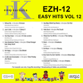 Easy Karaoke Hits Vol 12 CD+G Disc EZH-12 13 Track Disc