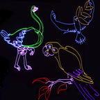 Multi Colour 1600mw RGB Animation Laser Smart App Control