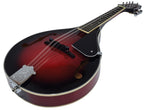 CTM28 Teardrop-Style Traditional Mandolin Rosewood Fingerboard