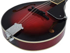 CTM28 Teardrop-Style Traditional Mandolin Rosewood Fingerboard