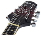CTM28 Teardrop-Style Traditional Mandolin Rosewood Fingerboard