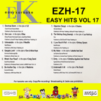 Easy Karaoke Hits Vol 17 CD+G Disc EZH-17 12 Track Disc