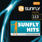 BIG Karaoke Hits of Sunfly Triple CD+G Decades 12