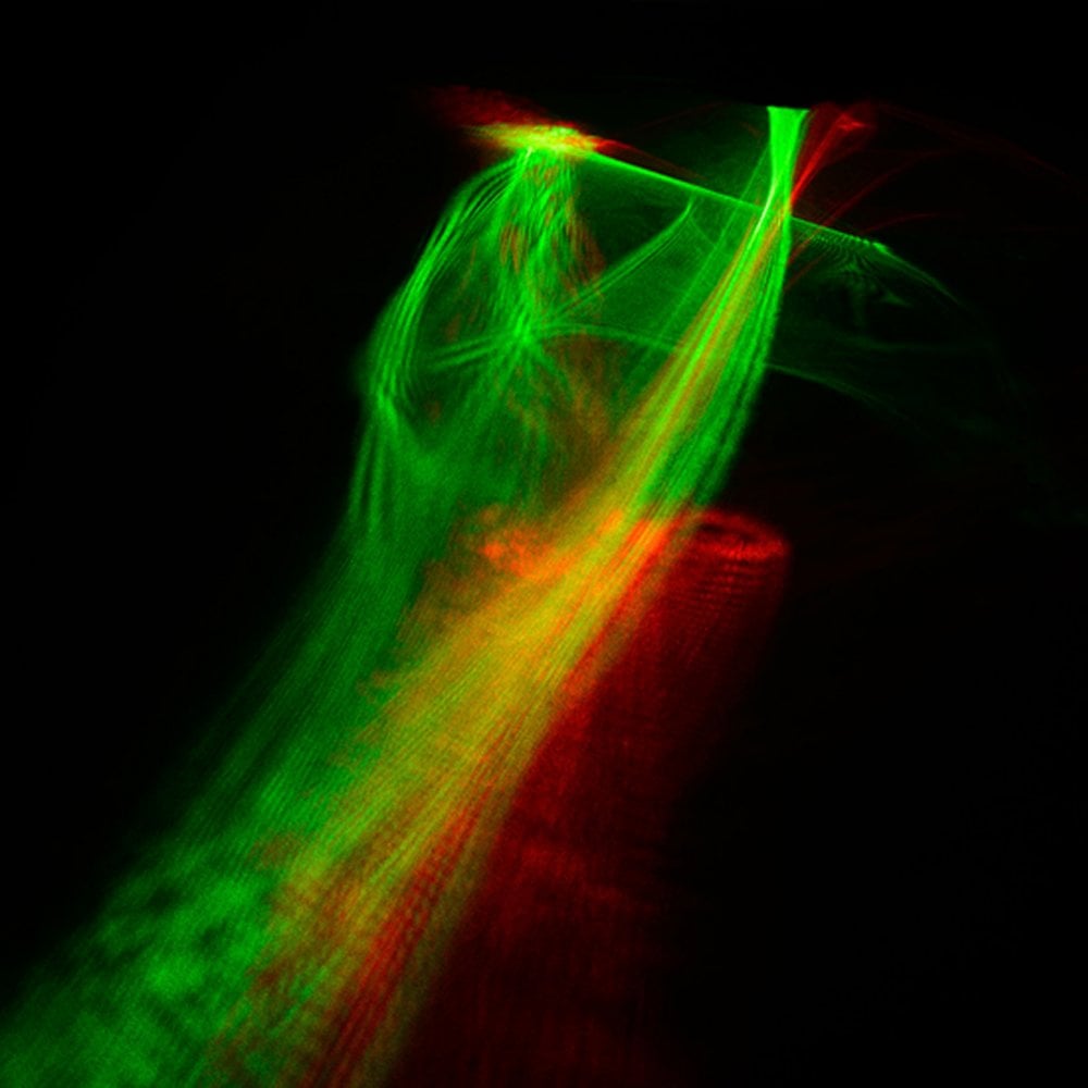AFX MiniRG-Polar Laser Lighting Effect