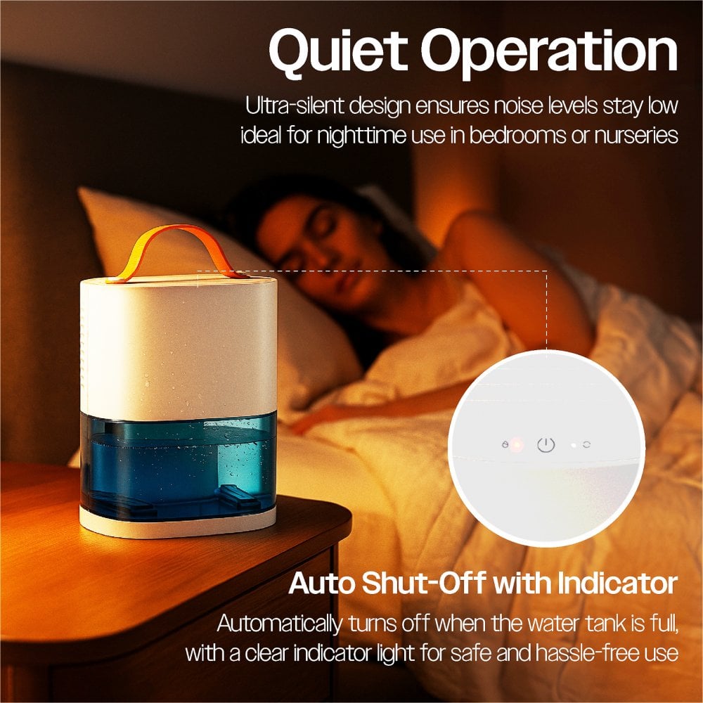 Compact 200ml Per Day Dehumidifier Ultra Quiet