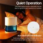 Compact 200ml Per Day Dehumidifier Ultra Quiet