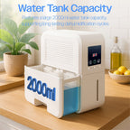 Wall or Freestanding 500ml Per Day Smart Dehumidifier Peltier