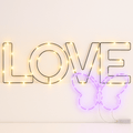 Warm White Love and Pink Butterfly LED Wire Frame Lights