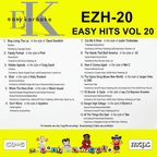 Easy Karaoke Hits Vol 20 CD+G Disc EZH-20 13 Track Disc