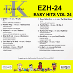 Easy Karaoke Hits Vol 24 CD+G Disc EZH-24 12 Track Disc