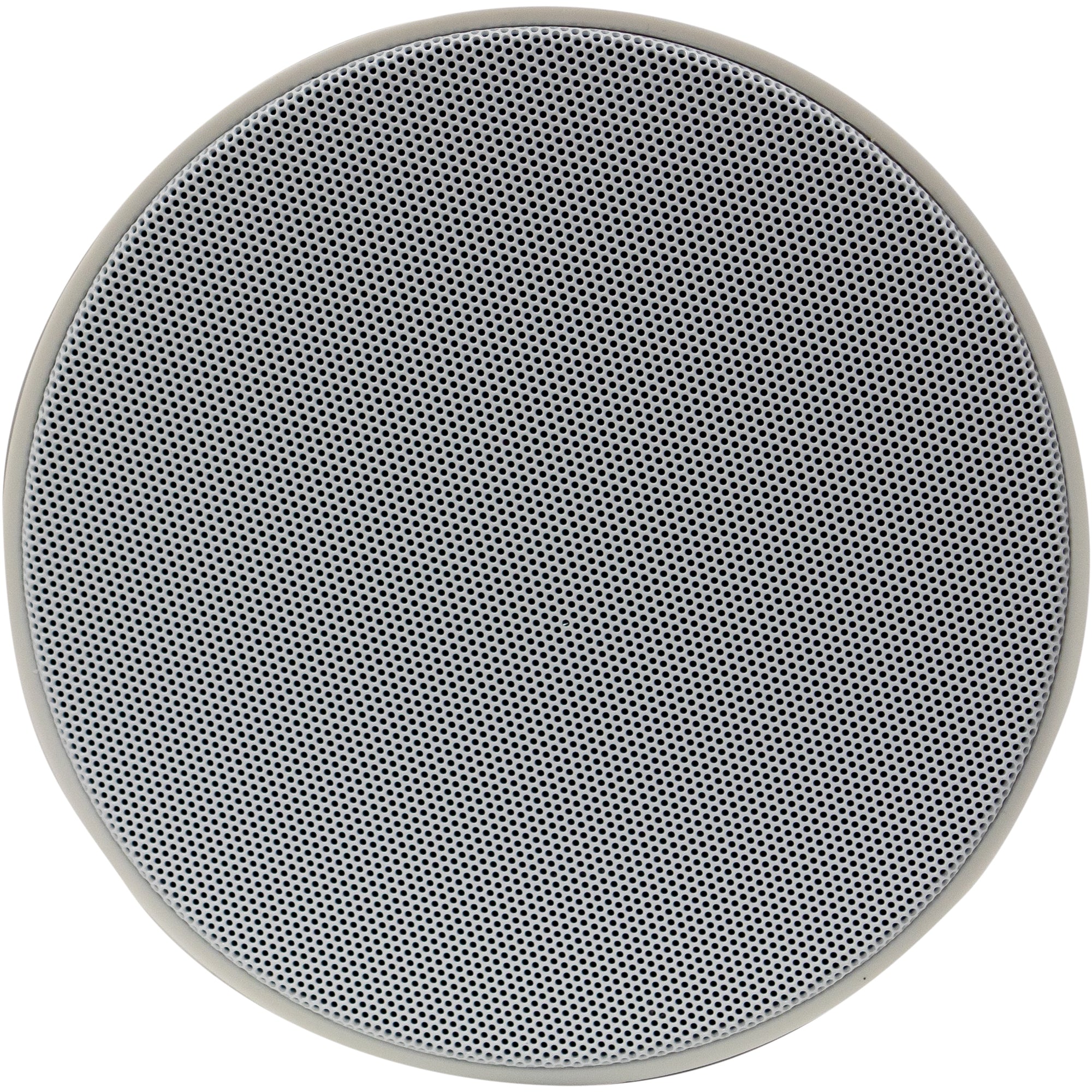 25w 8 Ohm or 100V Line Weatherproof Outdoor Projector Speaker