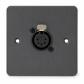 Cygnus WP1 DMX Wall Plate 5-Pin DMX Seetronic Output